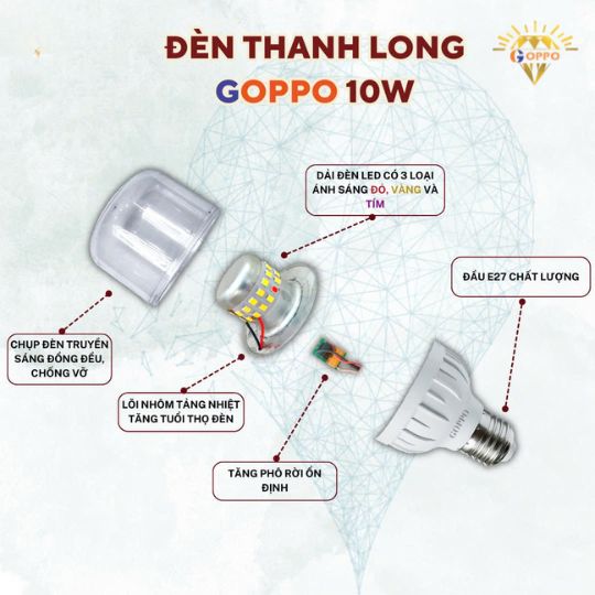 cấu tạo đèn chiếu sáng vườn thanh long Goppo