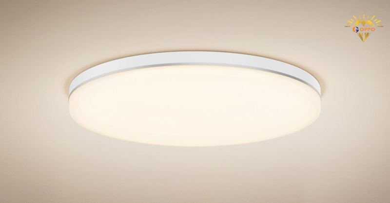 Đèn trần (Ceiling Lights)