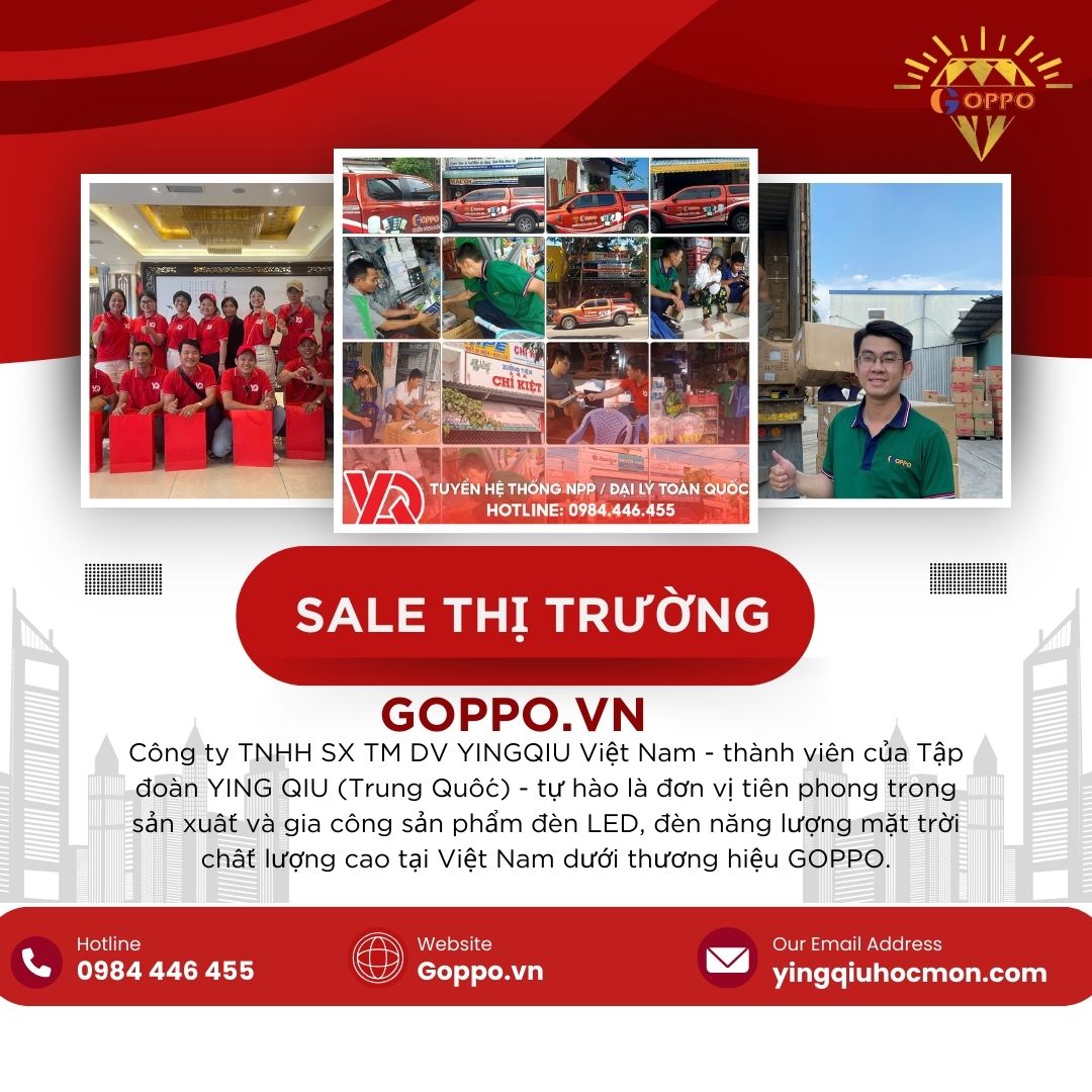 sale thị tường vĩnh long