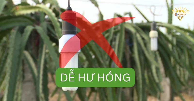 Đèn dễ hư hỏng, tuổi thọ thấp