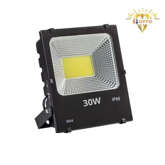 Đèn Pha Điện 30W